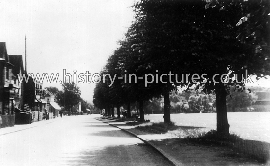High Steet, Writtle, Chelmsford, Essex. c.1952